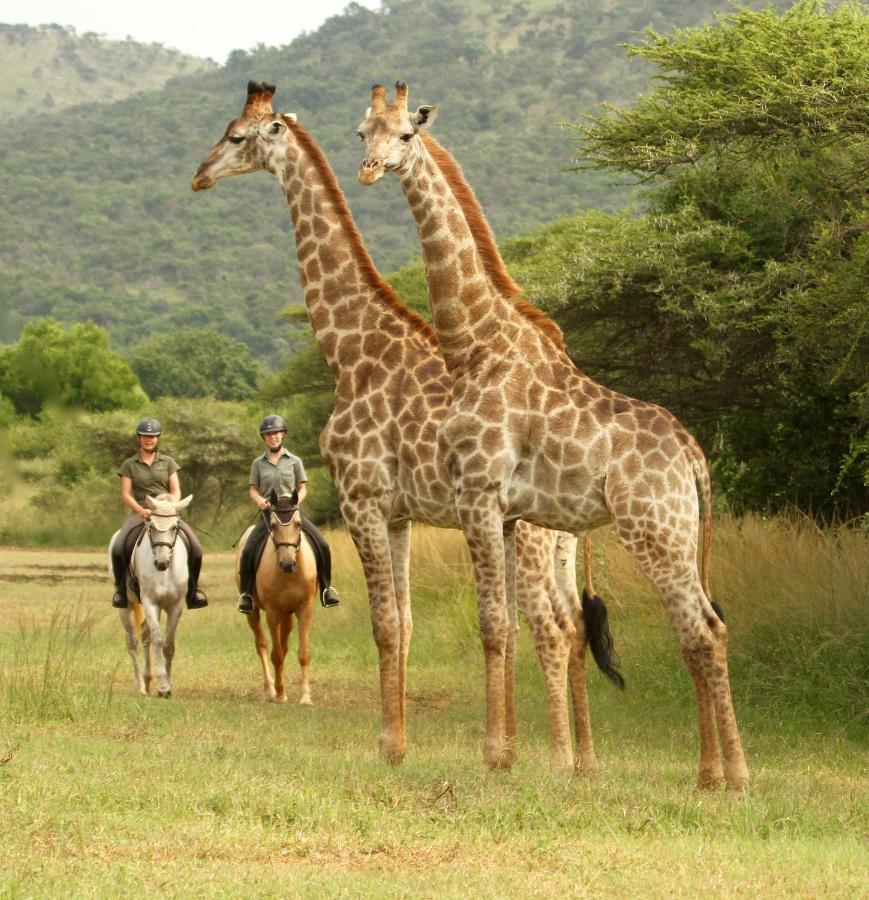 Pakamisa Private Game Reserve Pongola Exterior foto