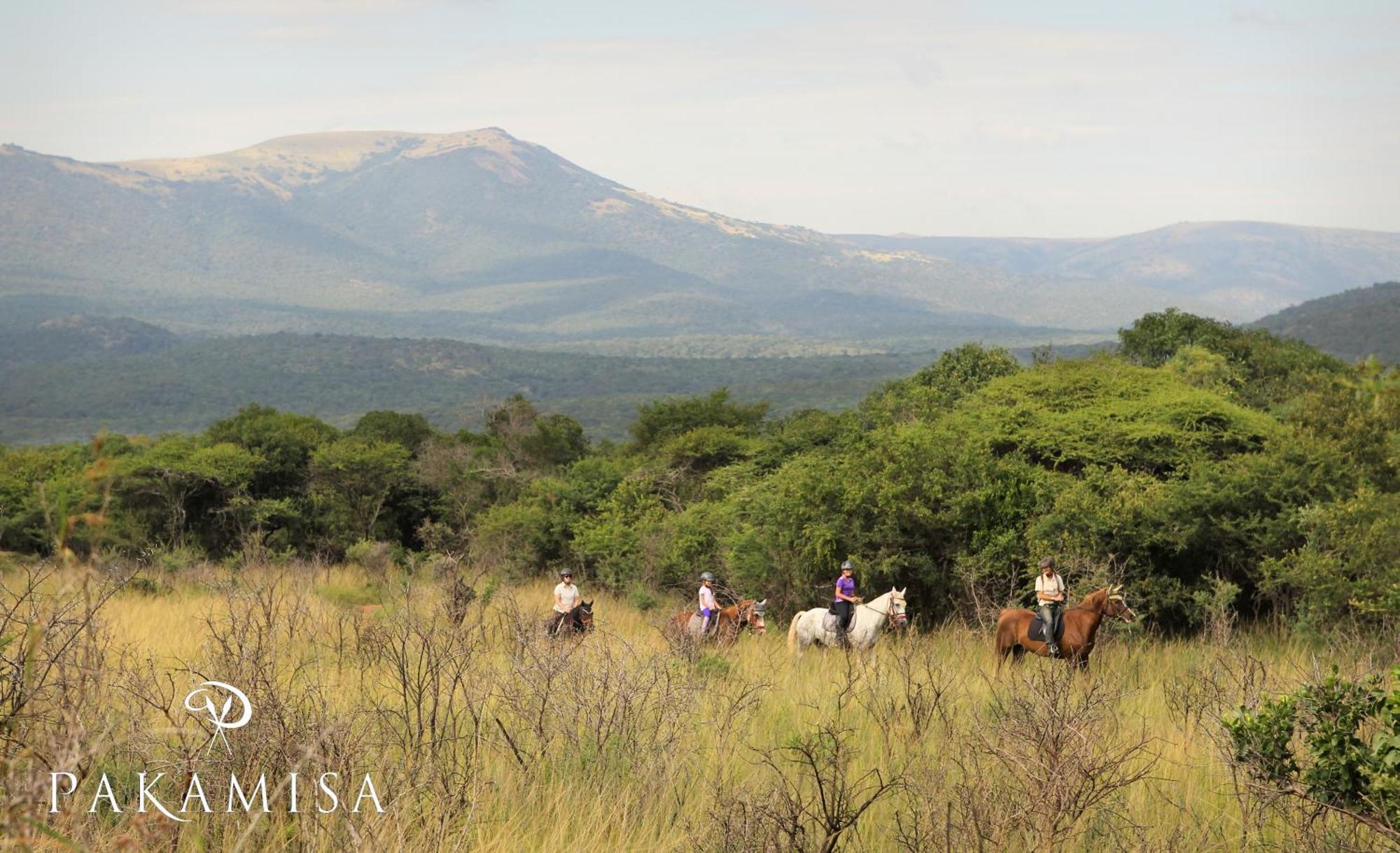 Pakamisa Private Game Reserve Pongola Exterior foto