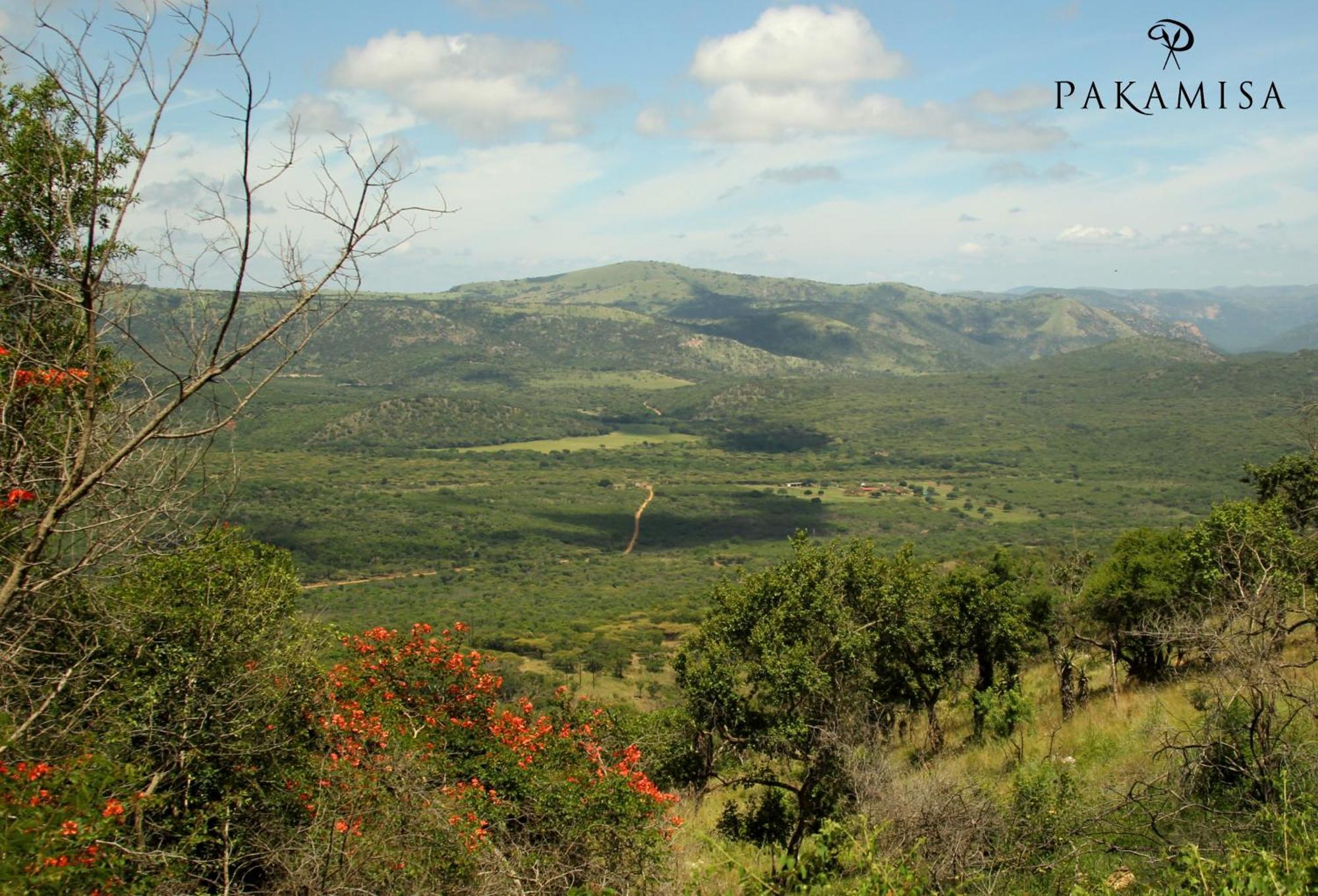 Pakamisa Private Game Reserve Pongola Exterior foto